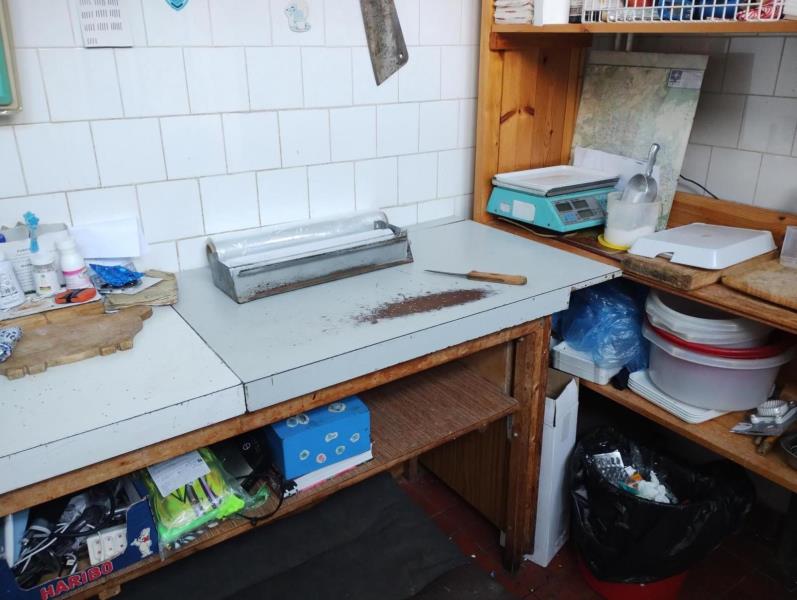 Ilustrační fotografie č. 6