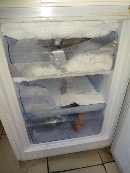 Ilustrační fotografie č. 4