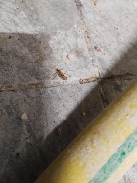 Ilustrační fotografie č. 2