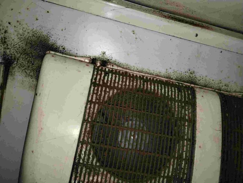 Ilustrační fotografie č. 14