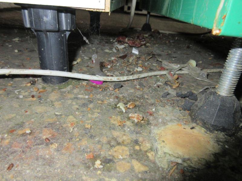 Ilustrační fotografie č. 2