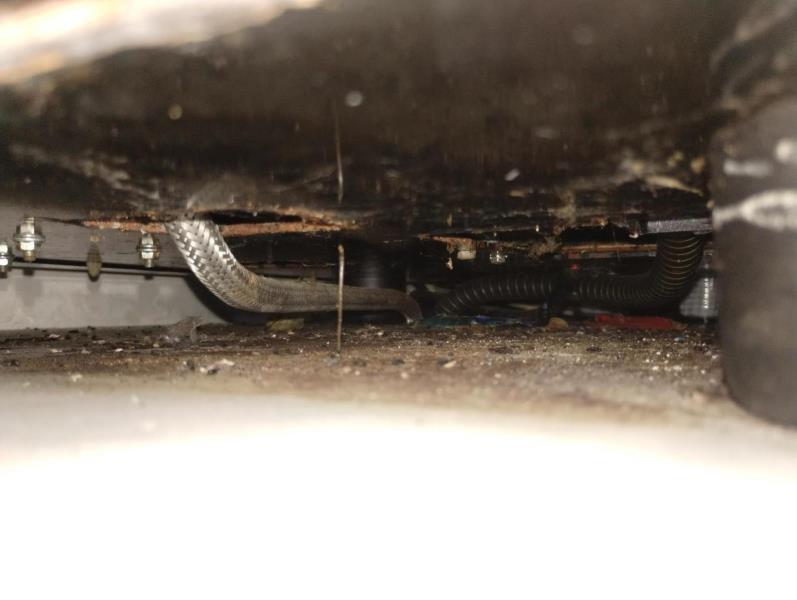 Ilustrační fotografie č. 8