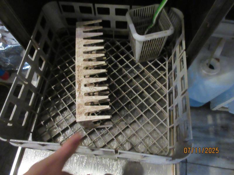 Ilustrační fotografie č. 4