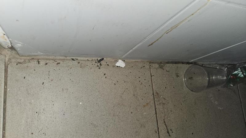 Illustrative photo no. 9