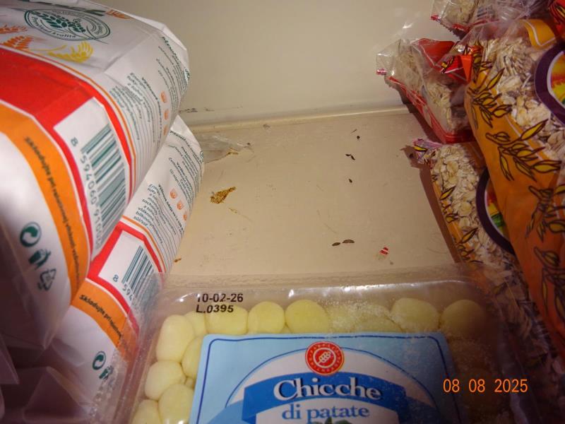 Ilustrační fotografie č. 18