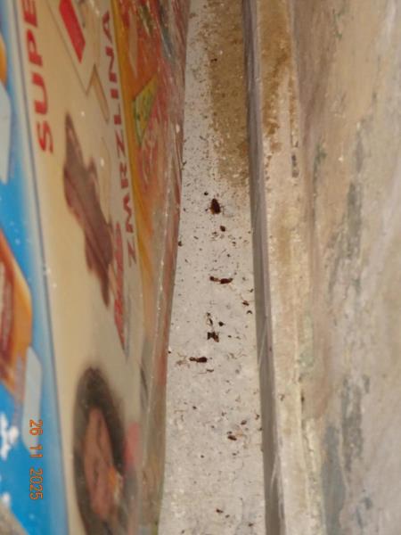 Ilustrační fotografie č. 8