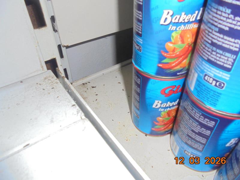 Ilustrační fotografie č. 7