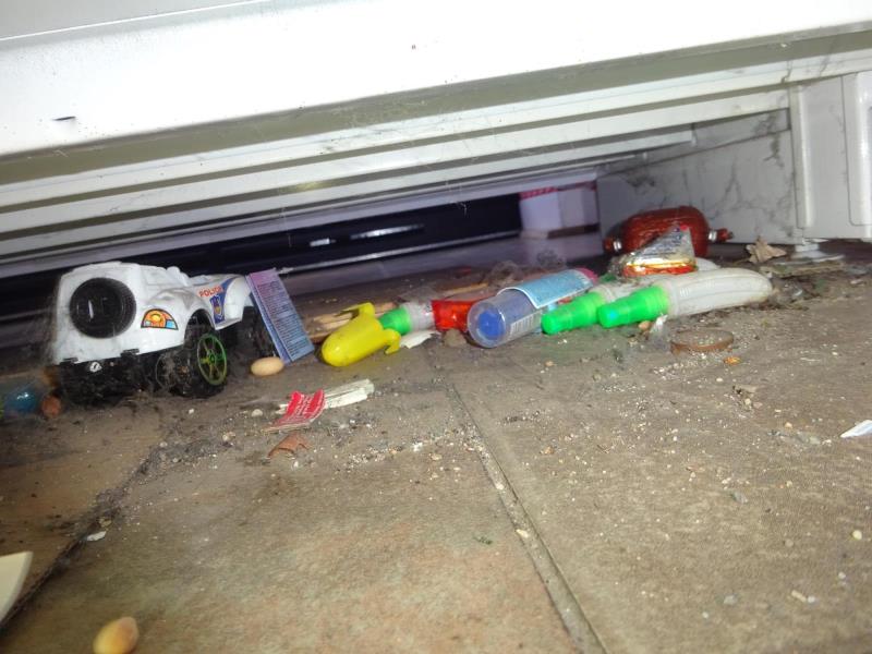 Ilustrační fotografie č. 3