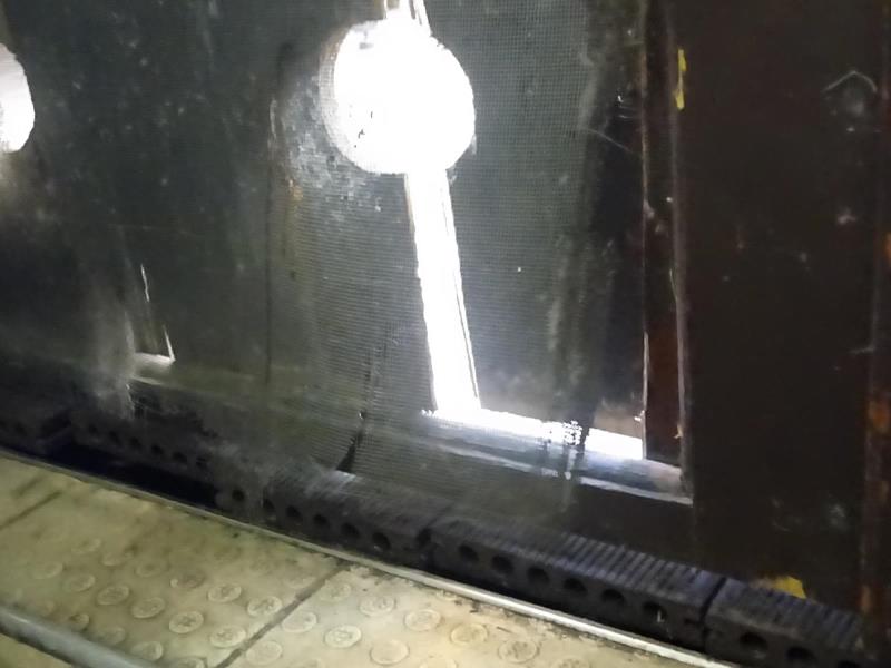 Ilustrační fotografie č. 11