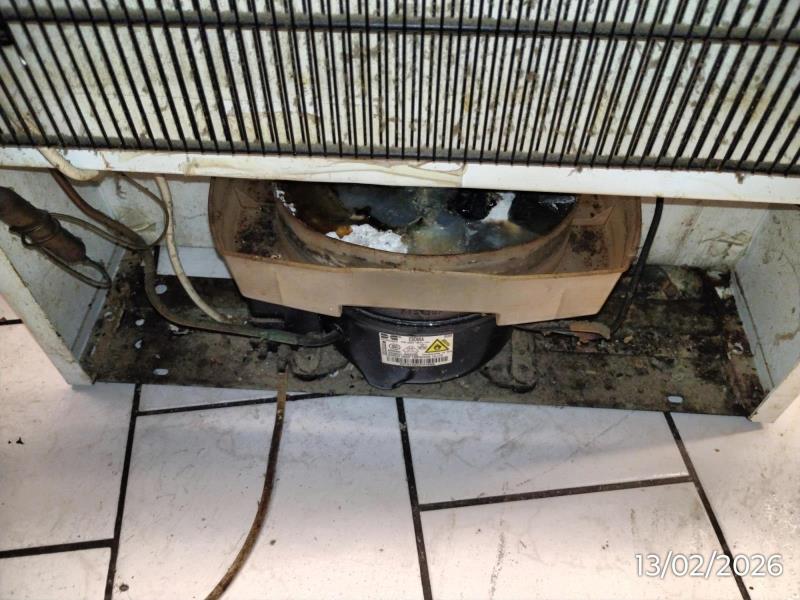 Ilustrační fotografie č. 20