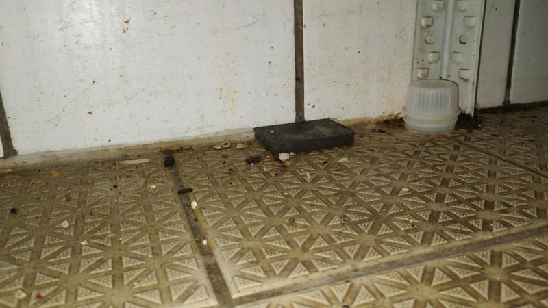 Illustrative photo no. 7