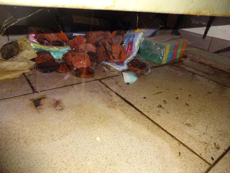 Illustrative photo no. 5