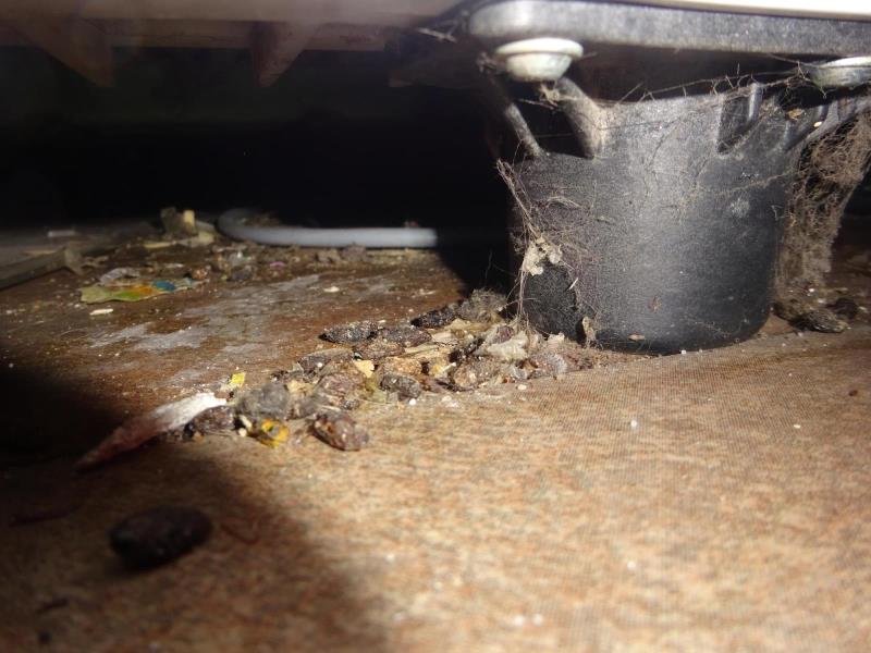 Ilustrační fotografie č. 9