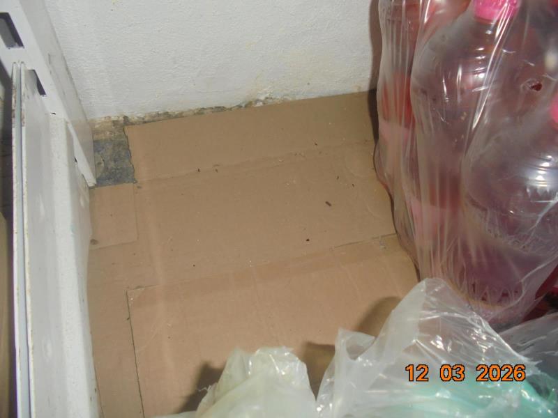 Ilustrační fotografie č. 15