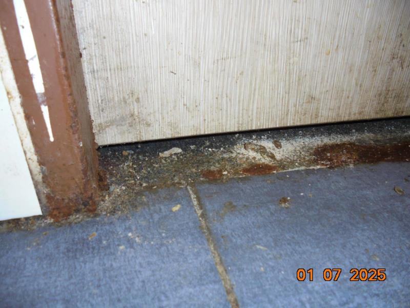 Illustrative photo no. 5