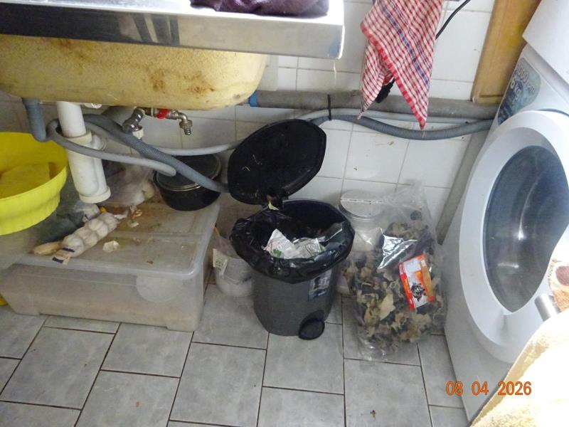 Ilustrační fotografie č. 3