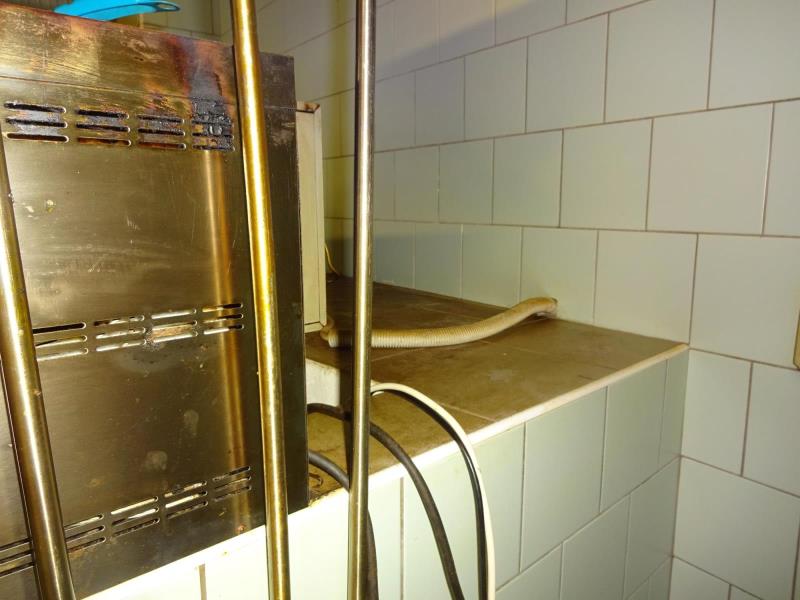 Illustrative photo no. 7