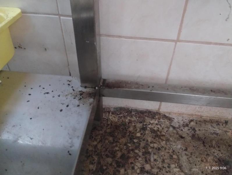 Ilustrační fotografie č. 5