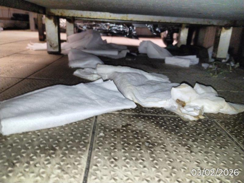 Ilustrační fotografie č. 9