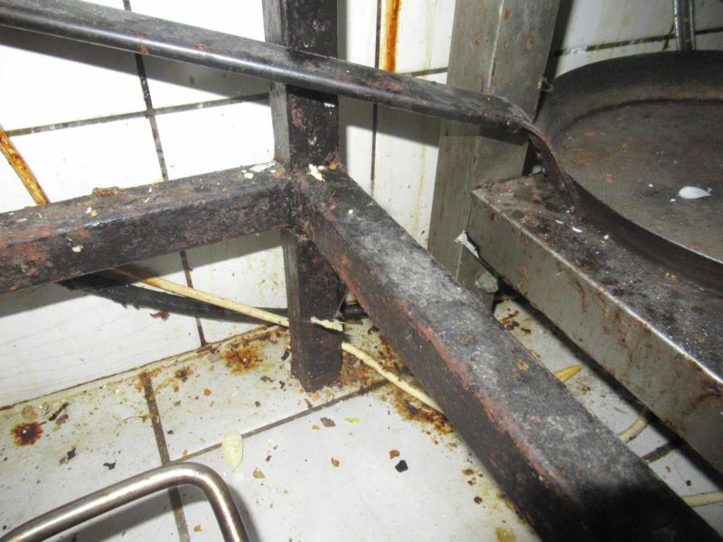 Ilustrační fotografie č. 5