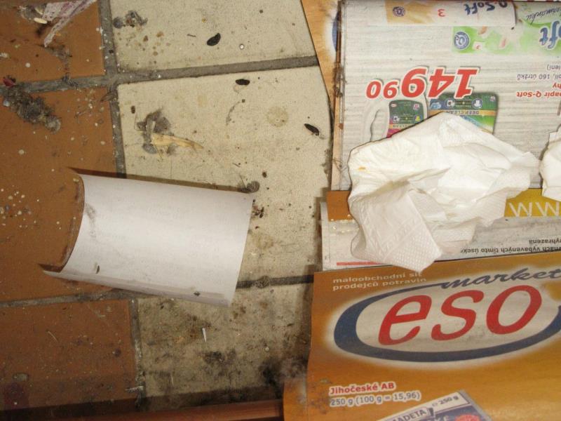 Ilustrační fotografie č. 7