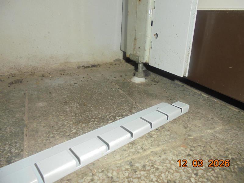 Ilustrační fotografie č. 4