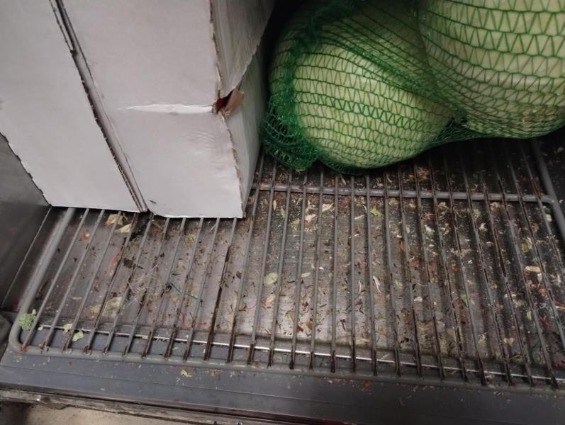 Ilustrační fotografie č. 16