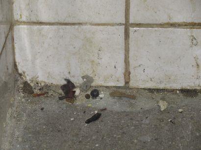 Illustrative photo no. 10