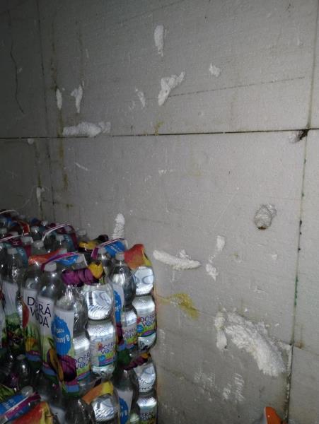 Ilustrační fotografie č. 5