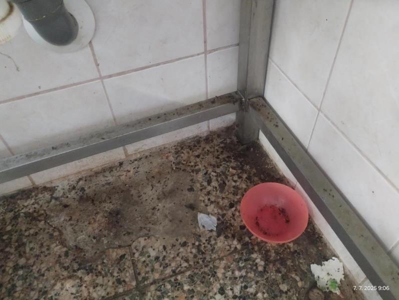 Ilustrační fotografie č. 4