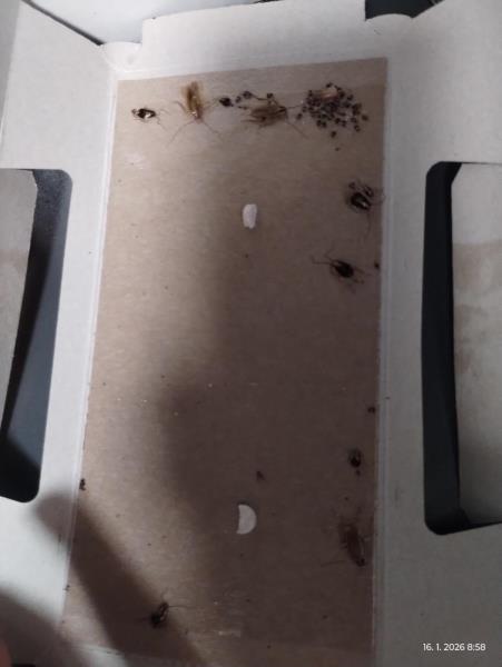 Ilustrační fotografie č. 3