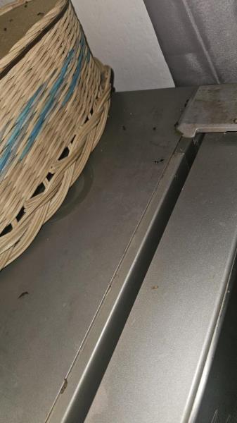 Illustrative photo no. 3