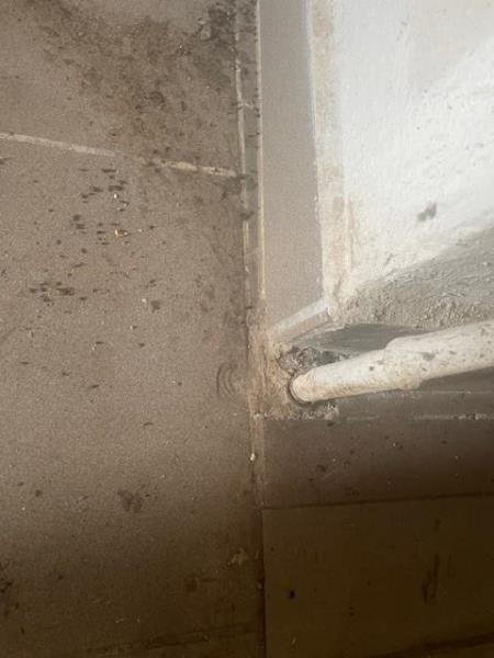 Ilustrační fotografie č. 14