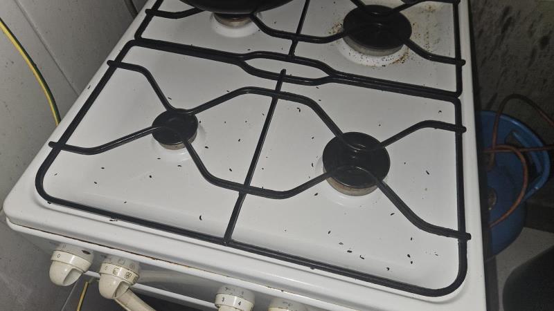 Illustrative photo no. 8