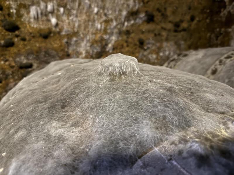 Ilustrační fotografie č. 16