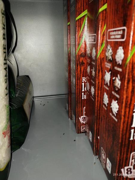 Ilustrační fotografie č. 13