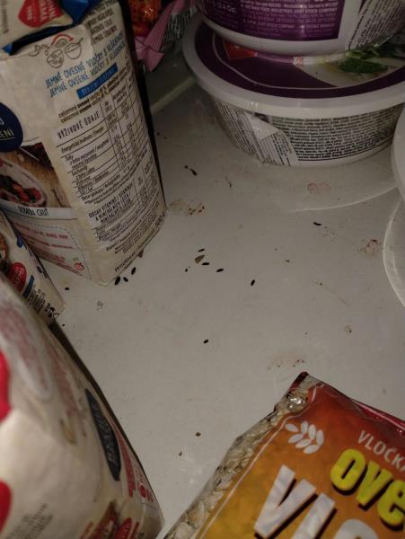 Ilustrační fotografie č. 5