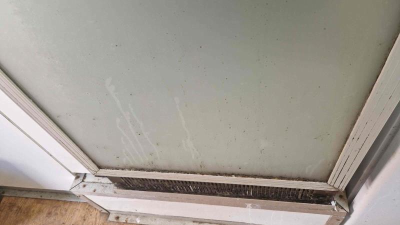 Ilustrační fotografie č. 6