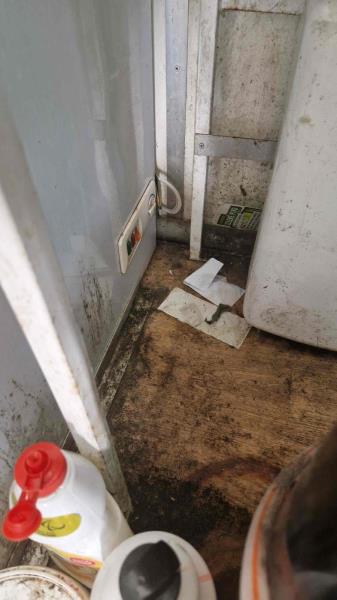 Ilustrační fotografie č. 5