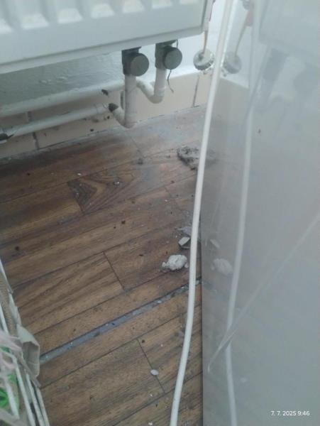 Ilustrační fotografie č. 23