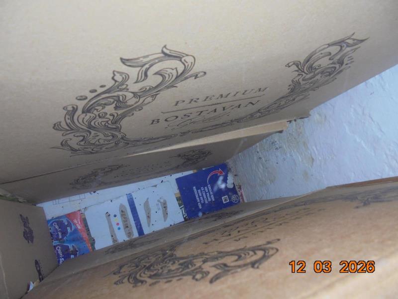 Ilustrační fotografie č. 11