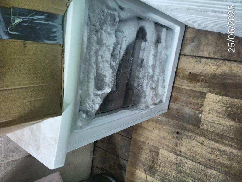 Ilustrační fotografie č. 6