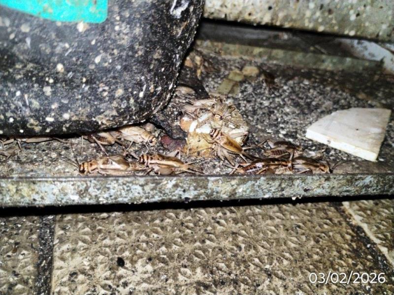 Ilustrační fotografie č. 3