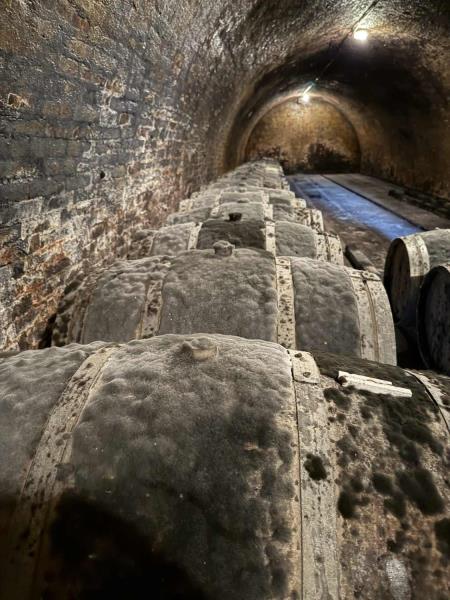 Ilustrační fotografie č. 6