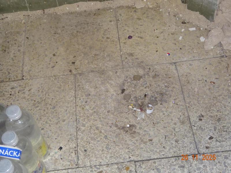 Ilustrační fotografie č. 12