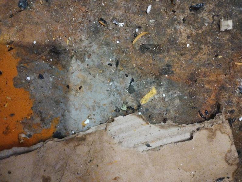 Ilustrační fotografie č. 5