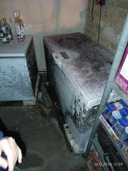 Ilustrační fotografie č. 10