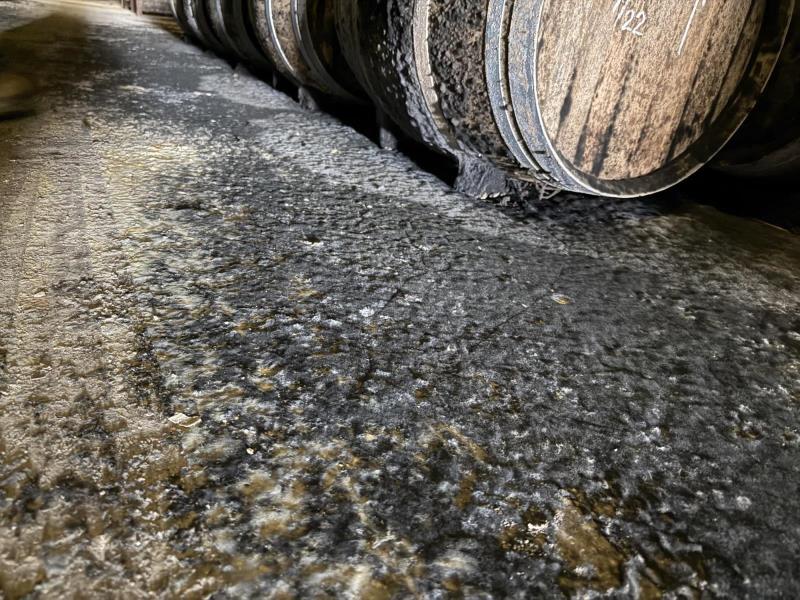 Ilustrační fotografie č. 18