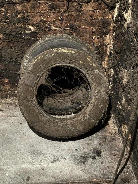 Ilustrační fotografie č. 13