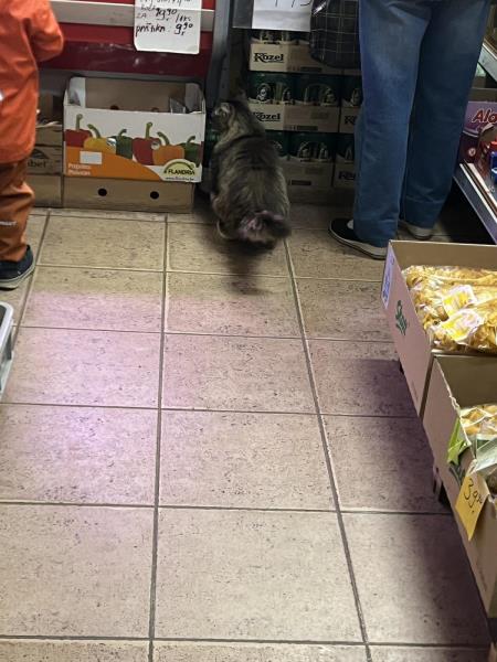 Ilustrační fotografie č. 3